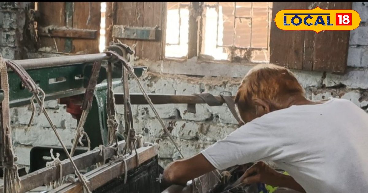 Where ever you become the owner of wages, today became the owner! Raju Jariwala’s hard work changed luck, know his business plan