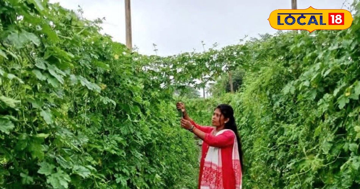Pooja Soren’s new identity to Dumka’s women from Kareli farming