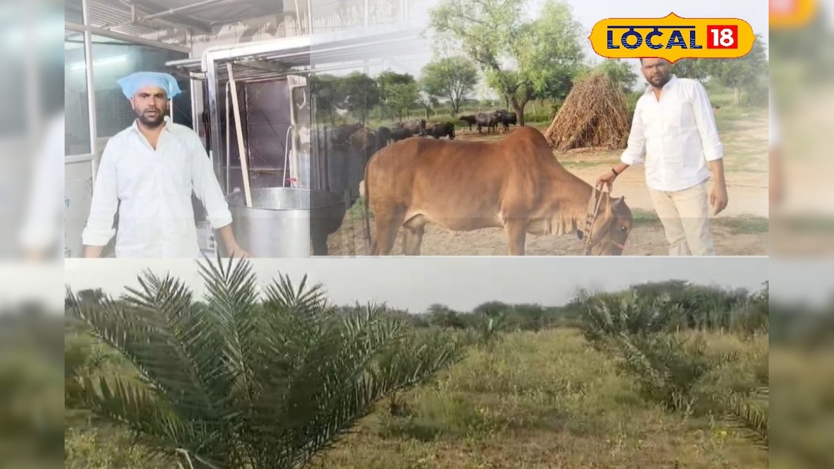 Farmer made barren land green with cow urine, increased income from fruits and animal husbandry – News18 Hindi